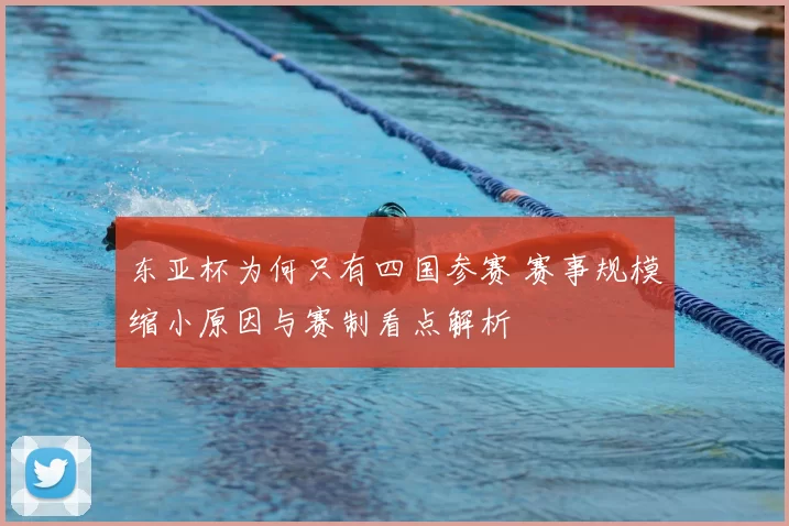 东亚杯为何只有四国参赛 赛事规模缩小原因与赛制看点解析