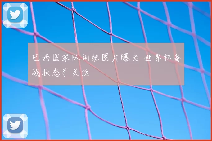 巴西国家队训练图片曝光 世界杯备战状态引关注