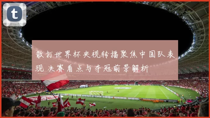 散打世界杯央视转播聚焦中国队表现 决赛看点与夺冠前景解析