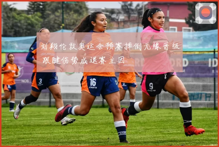 刘翔伦敦奥运会预赛摔倒无缘晋级 跟腱伤势成退赛主因