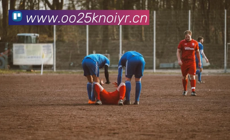 App Interface Preview